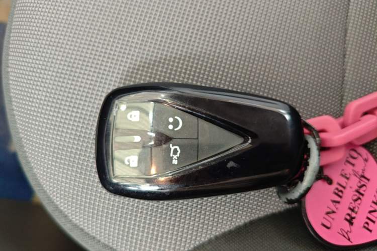 Used CHANGAN NEVO Lumin 2024 301km Launch Edition Vehicle Key