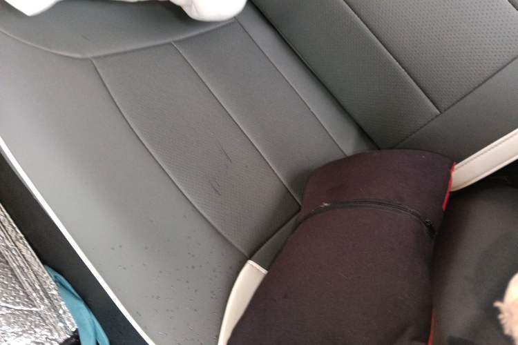 Used CHANGAN NEVO Lumin 2024 130km Qingyue Version Left Rear Seat