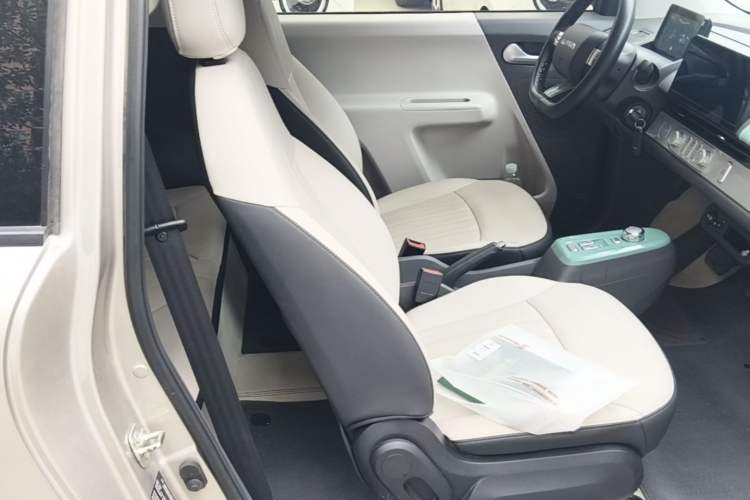 Used CHANGAN NEVO Lumin 2024 130km Qingyue Version Right Front Seat