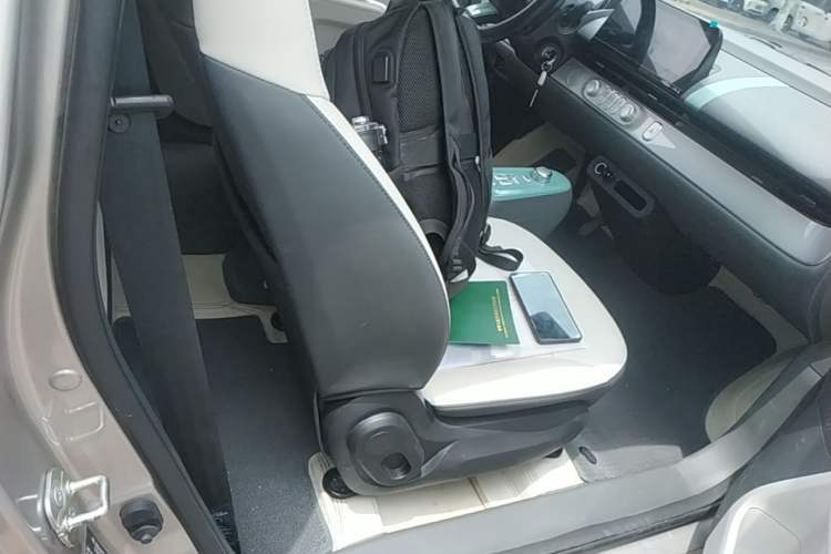 Used CHANGAN NEVO Lumin 2024 130km Qingyue Version Right Front Seat