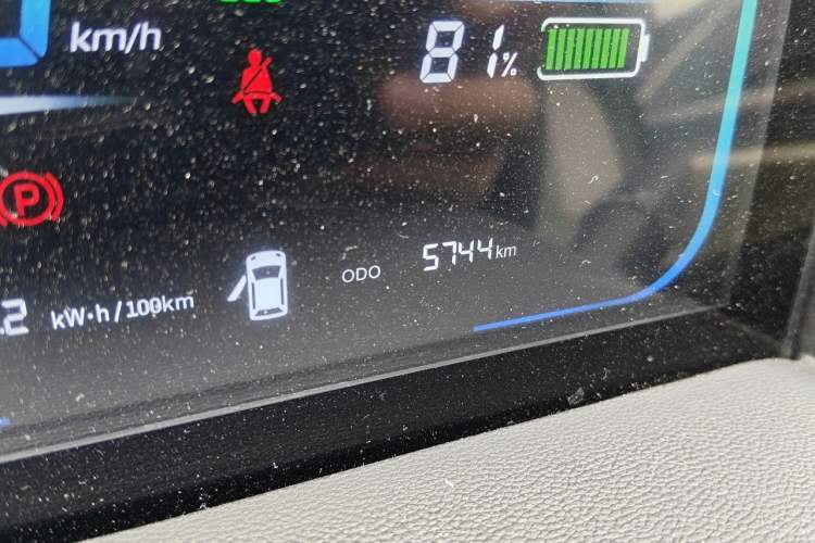 Used CHANGAN NEVO Lumin 2024 130km Qingyue Version Odometer Close Up