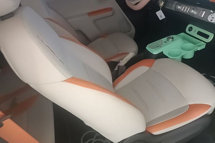 Used CHANGAN NEVO Lumin 2024 205km Orange Wind Edition Right Front Seat