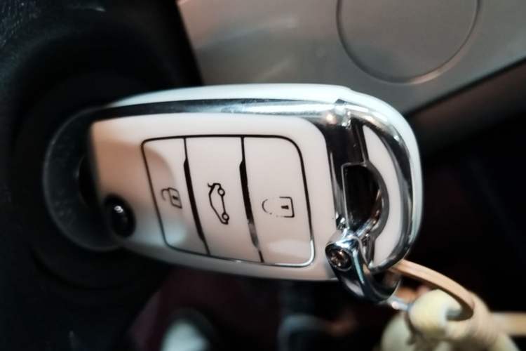 Used CHANGAN NEVO Lumin 2024 205km Launch Edition Vehicle Key