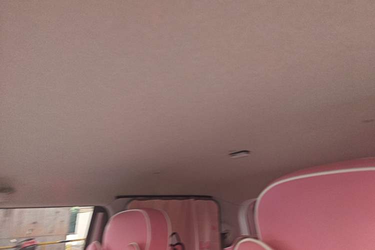 Used CHANGAN NEVO Lumin 2024 301km Orange Wind Edition Headliner