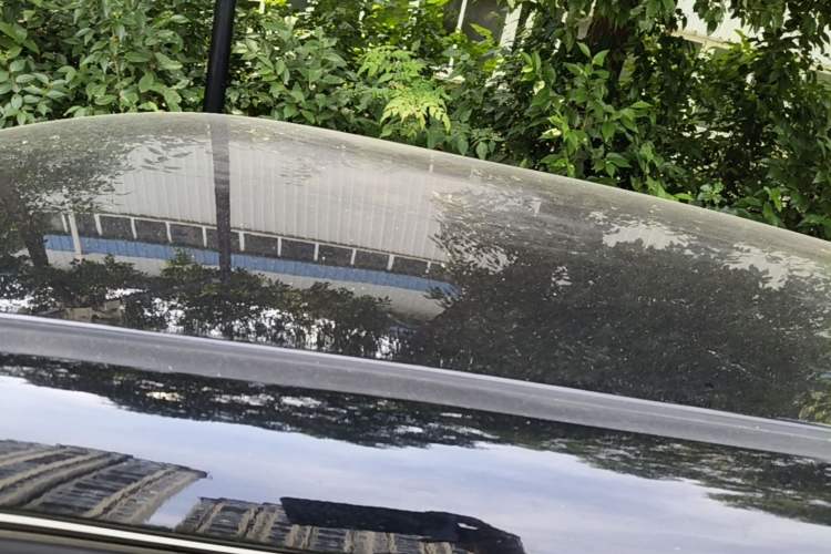 Used CHANGAN NEVO Lumin 2024 205km Launch Edition Roof