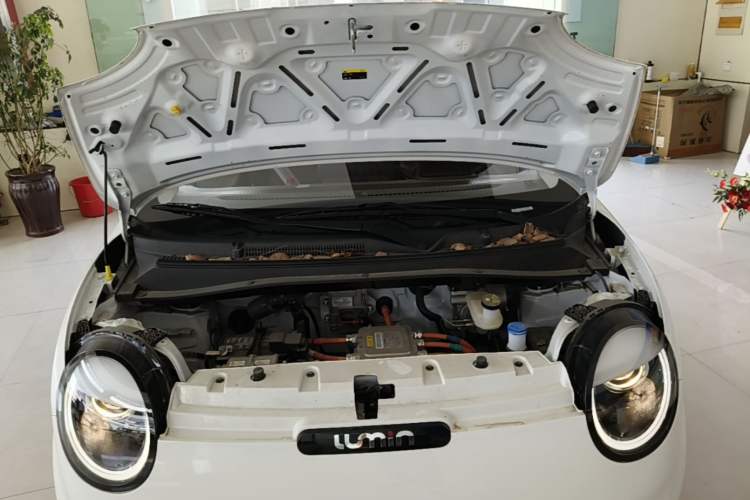 Used CHANGAN NEVO Lumin 2024 130km Qingyue Version Engine Bay