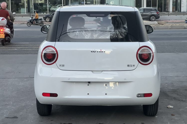 Used CHANGAN NEVO Lumin 2024 130km Qingyue Version Exterior 5