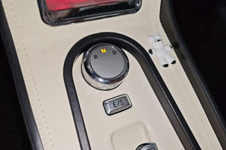 Used CHANGAN NEVO Lumin 2024 130km Qingyue Version Gear Lever