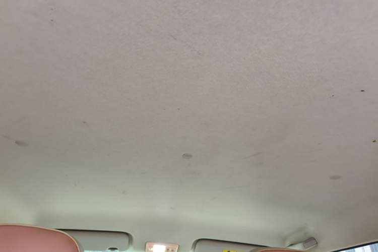 Used CHANGAN NEVO Lumin 2024 130km Qingyue Version Headliner