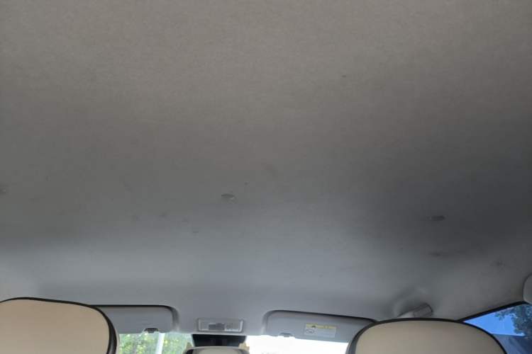 Used CHANGAN NEVO Lumin 2024 301km Orange Wind Edition Headliner
