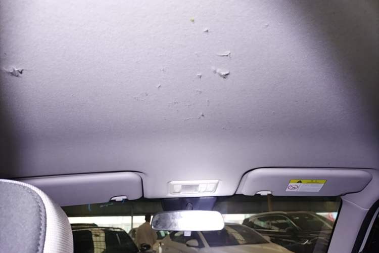 Used CHANGAN NEVO Lumin 2024 130km Qingyue Version Headliner