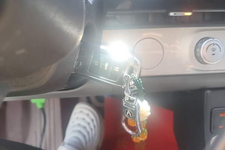 Used CHANGAN NEVO Lumin 2024 130km Qingyue Version Interior 1