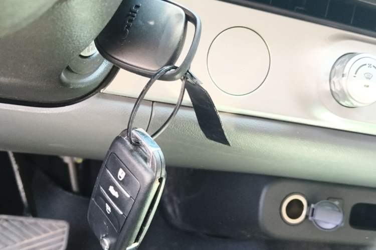 Used CHANGAN NEVO Lumin 2024 130km Qingyue Version Interior 1