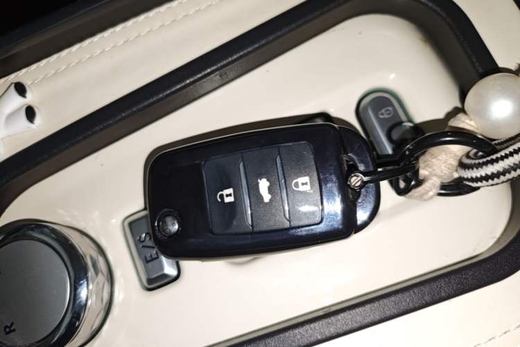 Used CHANGAN NEVO Lumin 2024 130km Qingyue Version Interior 1