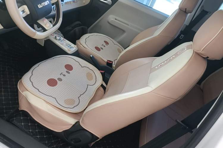 Used CHANGAN NEVO Lumin 2024 130km Qingyue Version Left Front Seat