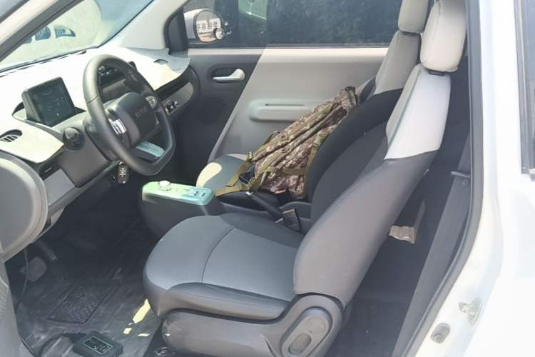 Used CHANGAN NEVO Lumin 2024 130km Qingyue Version Left Front Seat