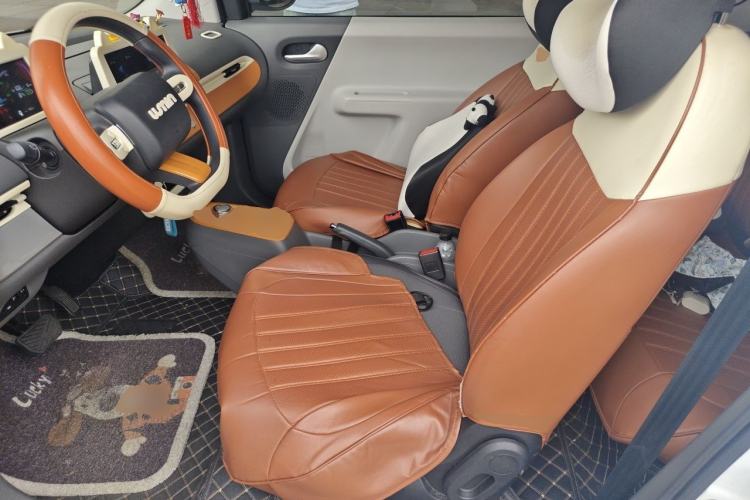 Used CHANGAN NEVO Lumin 2024 130km Qingyue Version Left Front Seat