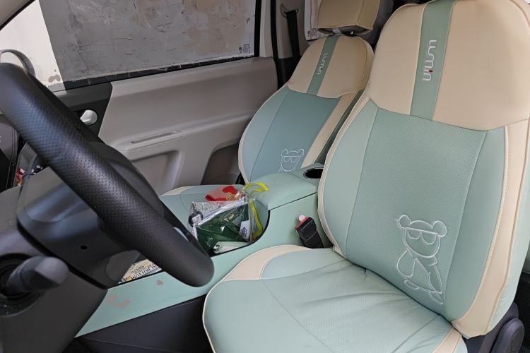 Used CHANGAN NEVO Lumin 2024 130km Qingyue Version Left Front Seat