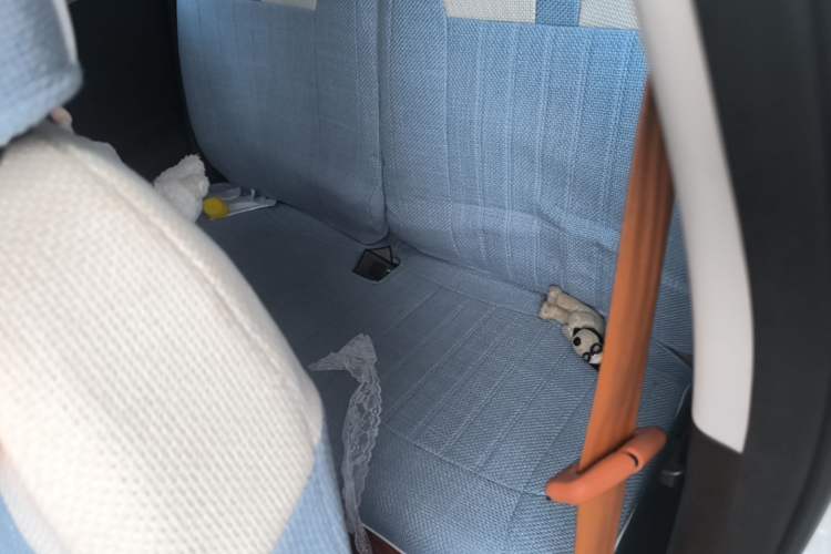 Used CHANGAN NEVO Lumin 2024 301km Orange Wind Edition Left Rear Seat