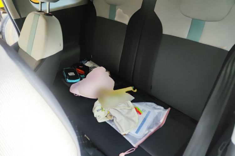 Used CHANGAN NEVO Lumin 2024 130km Qingyue Version Left Rear Seat