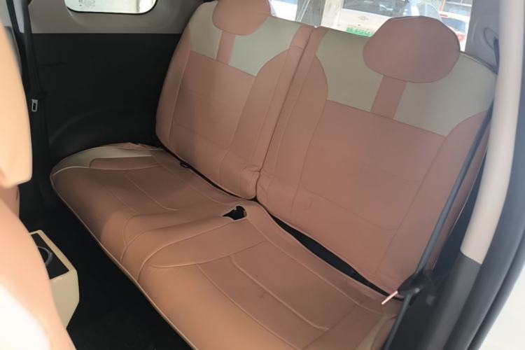 Used CHANGAN NEVO Lumin 2024 130km Qingyue Version Left Rear Seat