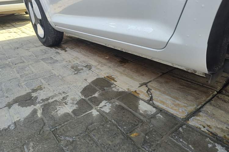 Used CHANGAN NEVO Lumin 2024 205km Launch Edition Left Side Sill