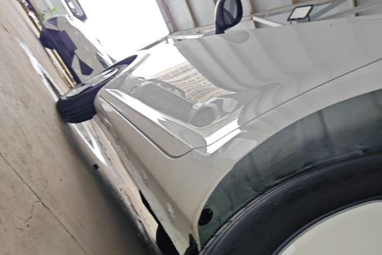 Used CHANGAN NEVO Lumin 2024 130km Qingyue Version Left Side Sill