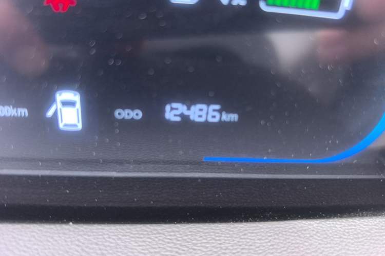 Used CHANGAN NEVO Lumin 2024 301km Orange Wind Edition Odometer Close Up