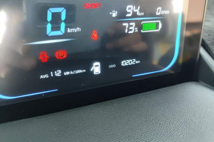 Used CHANGAN NEVO Lumin 2024 130km Qingyue Version Odometer Close Up