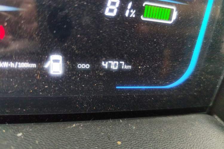 Used CHANGAN NEVO Lumin 2024 130km Qingyue Version Odometer Close Up