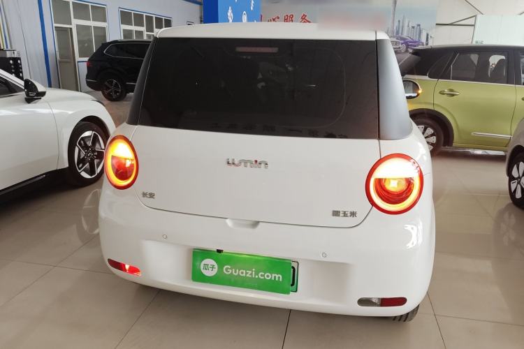 Used CHANGAN NEVO Lumin 2024 130km Qingyue Version Rear