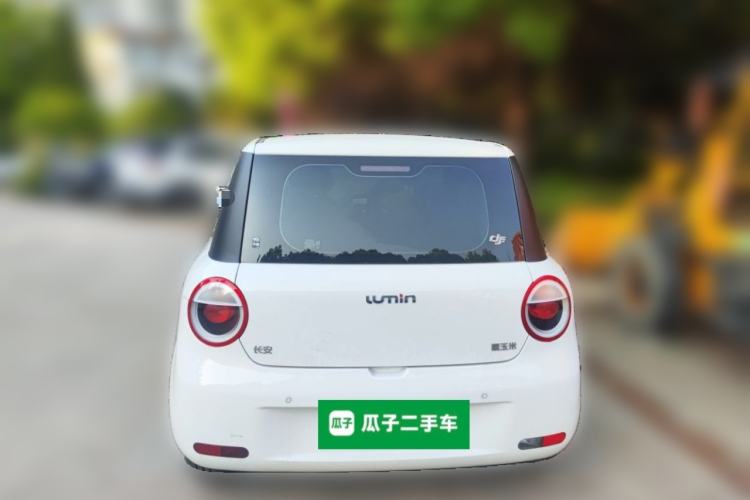 Used CHANGAN NEVO Lumin 2024 130km Qingyue Version Rear
