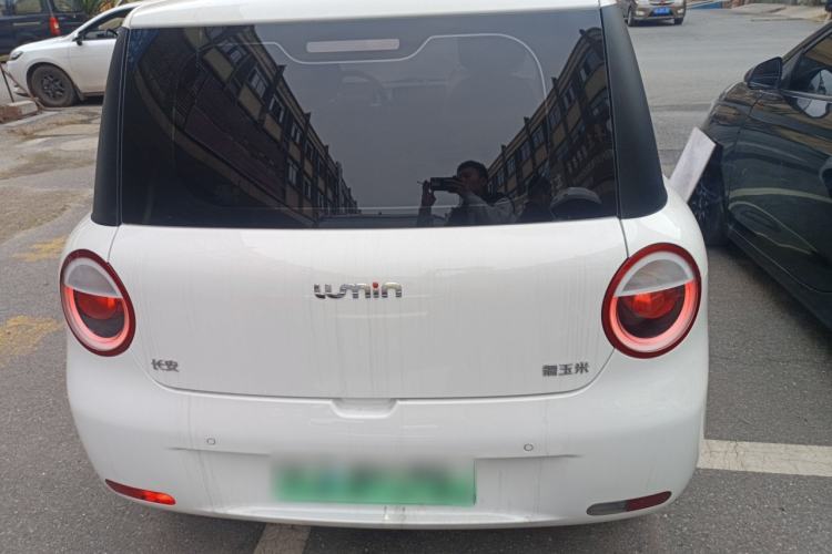 Used CHANGAN NEVO Lumin 2024 130km Qingyue Version Rear