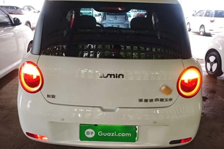 Used CHANGAN NEVO Lumin 2024 130km Qingyue Version Rear