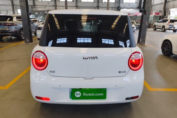 Used CHANGAN NEVO Lumin 2024 130km Qingyue Version Rear