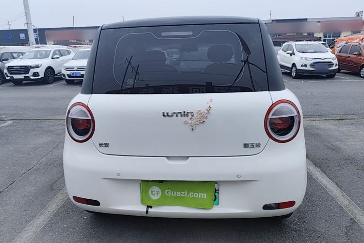 Used CHANGAN NEVO Lumin 2024 130km Qingyue Version Rear