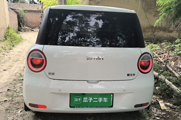 Used CHANGAN NEVO Lumin 2024 130km Qingyue Version Rear