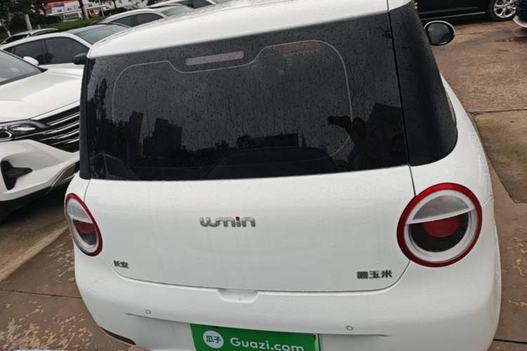 Used CHANGAN NEVO Lumin 2024 130km Qingyue Version Rear