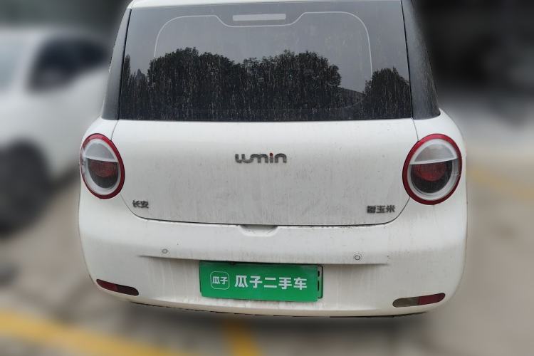 Used CHANGAN NEVO Lumin 2024 130km Qingyue Version Rear