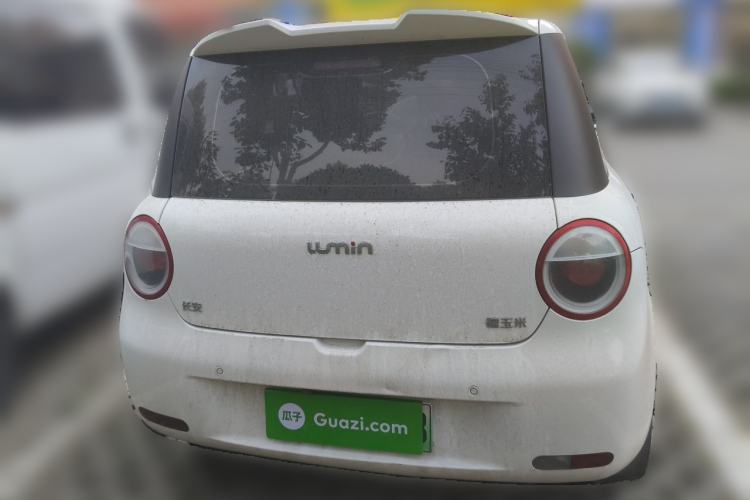 Used CHANGAN NEVO Lumin 2024 130km Qingyue Version Rear