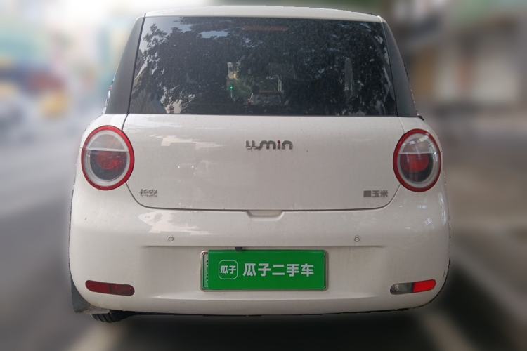 Used CHANGAN NEVO Lumin 2024 130km Qingyue Version Rear