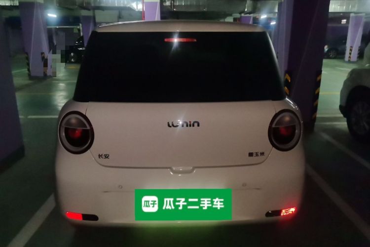 Used CHANGAN NEVO Lumin 2024 130km Qingyue Version Rear