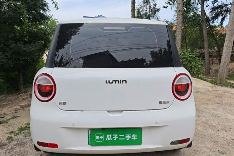 Used CHANGAN NEVO Lumin 2024 130km Qingyue Version Rear