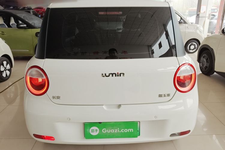 Used CHANGAN NEVO Lumin 2024 130km Qingyue Version Rear