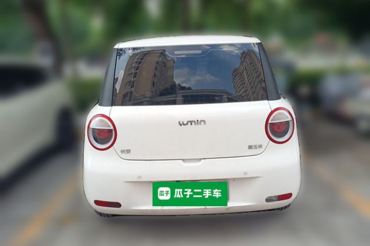 Used CHANGAN NEVO Lumin 2024 130km Qingyue Version Rear