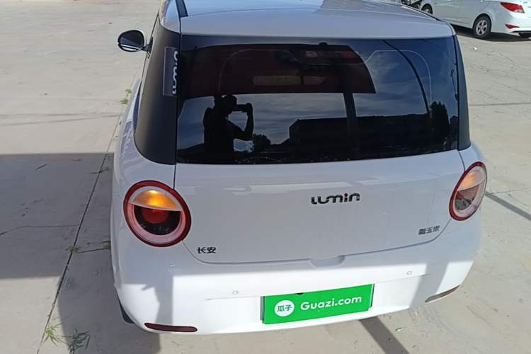 Used CHANGAN NEVO Lumin 2024 130km Qingyue Version Rear