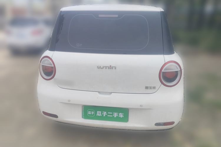 Used CHANGAN NEVO Lumin 2024 130km Qingyue Version Rear