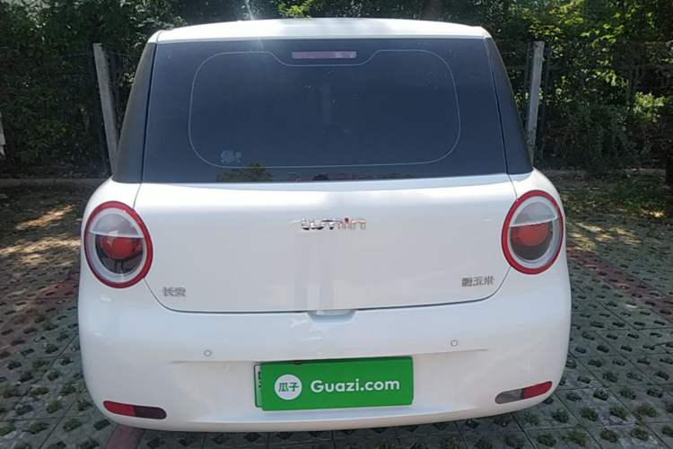Used CHANGAN NEVO Lumin 2024 130km Qingyue Version Rear