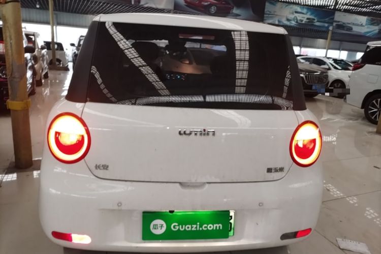 Used CHANGAN NEVO Lumin 2024 130km Qingyue Version Rear