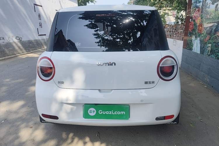 Used CHANGAN NEVO Lumin 2024 130km Qingyue Version Rear